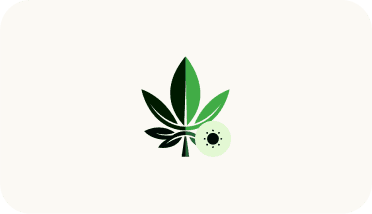 Symbolische Darstellung einer Hybrid-Cannabispflanze