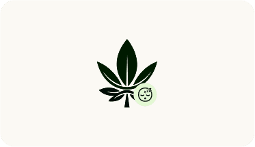 Symbolische Darstellung einer Indica-Cannabispflanze