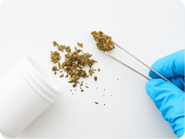 Laborgeprüftes medizinisches Cannabis