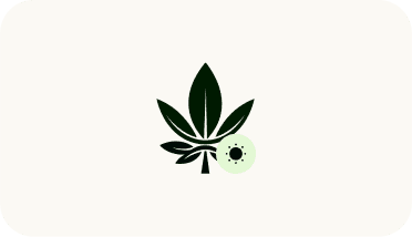 Symbolische Darstellung einer Sativa-Cannabispflanze